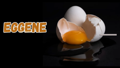 Eggene