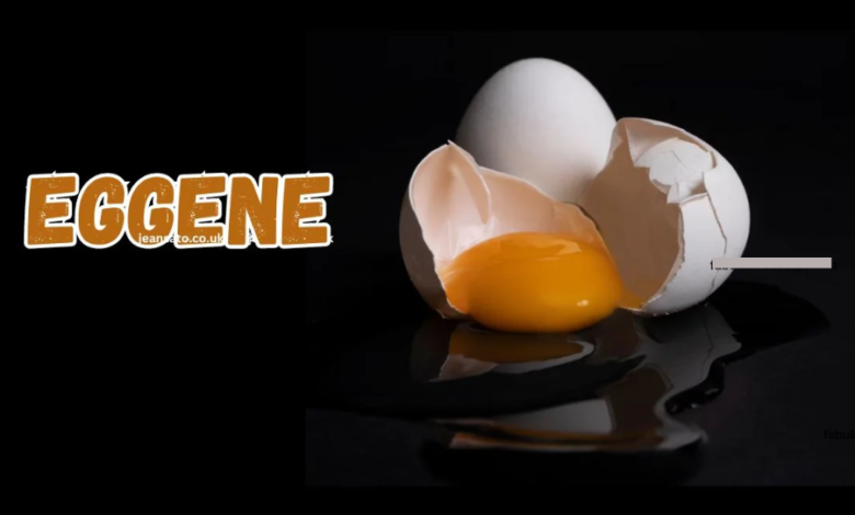 Eggene