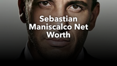 sebastian maniscalco net worth